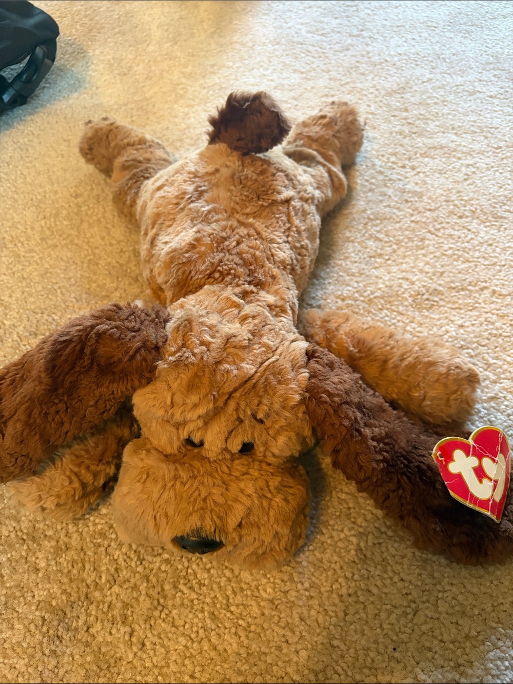 Ty Brown Plush Puppy with Dark Brown Ears